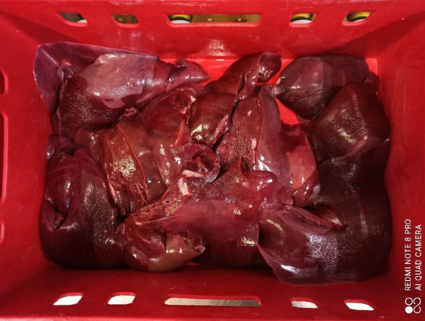 Liver (Porcine: Pork)