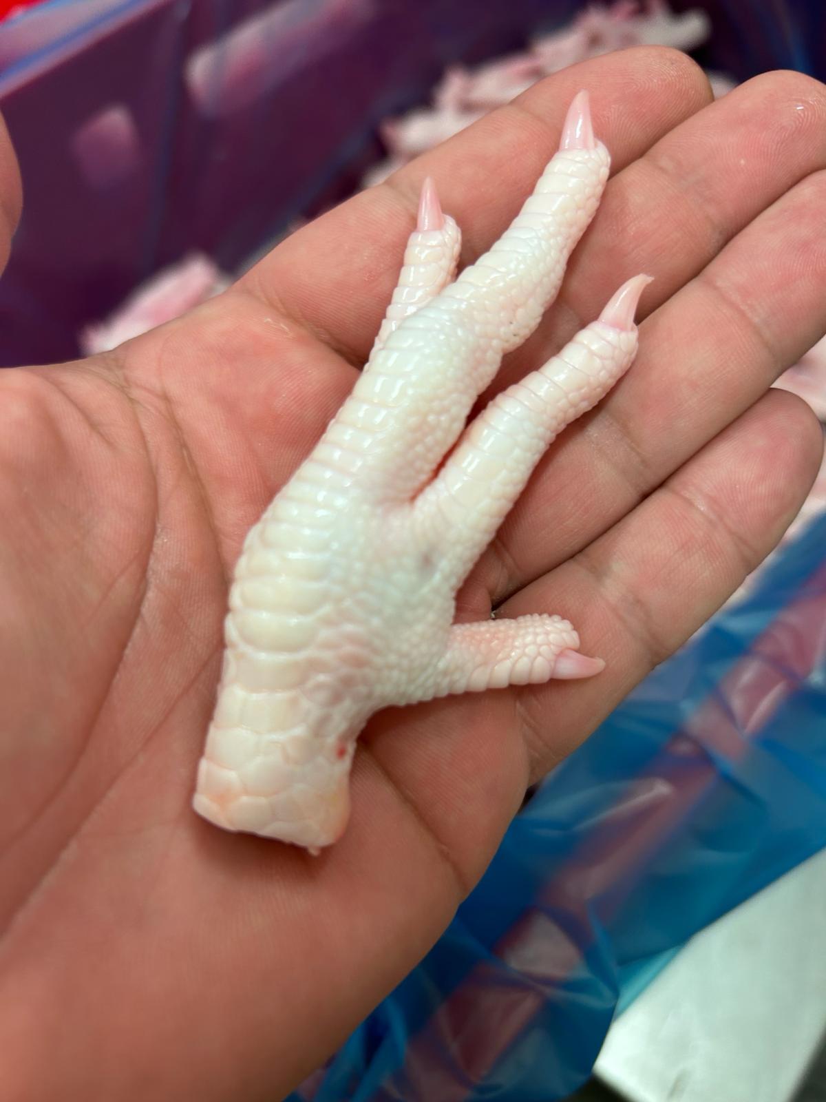 Paws A grade (Poultry: Chicken)