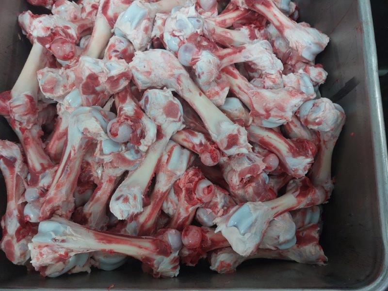 Femur Bone (Porcine: Pork)